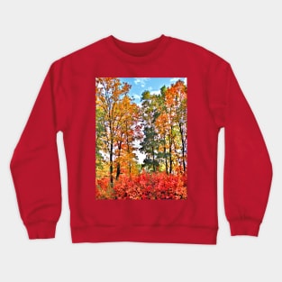 Fall Colors Crewneck Sweatshirt